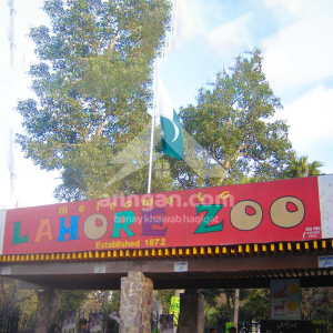 Nearby_Lahroe Zoo