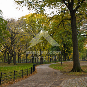 Parks and properly planted areas